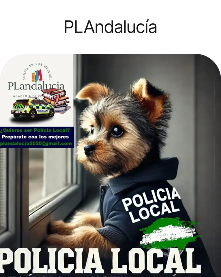 Academia PLAndalucía