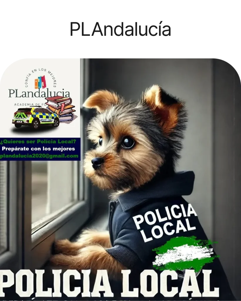 Academia PLAndalucía